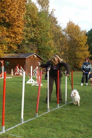 agility 2011-10-30